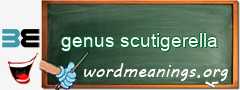 WordMeaning blackboard for genus scutigerella